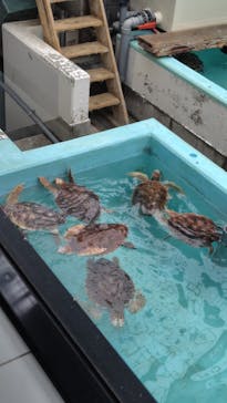 名古屋港水族館に投稿された画像（2024/6/5）
