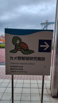 名古屋港水族館に投稿された画像（2024/6/5）