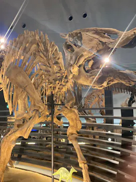 福井県立恐竜博物館に投稿された画像（2024/6/5）