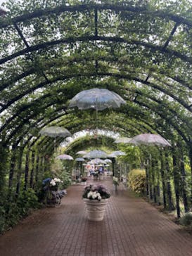 横浜イングリッシュガーデンに投稿された画像（2024/6/5）