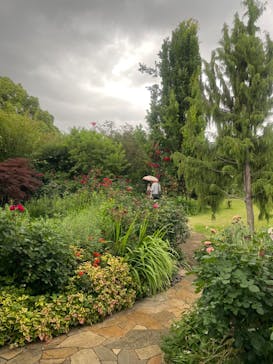 横浜イングリッシュガーデンに投稿された画像（2024/6/5）