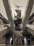 福井県立恐竜博物館に投稿された画像（2024/6/6）