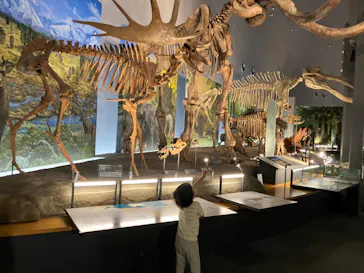 福井県立恐竜博物館に投稿された画像（2024/6/5）