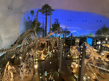 福井県立恐竜博物館に投稿された画像（2024/6/5）