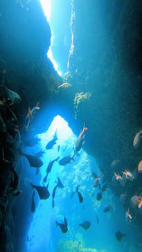 ドロップイン 沖縄に投稿された画像（2024/6/5）