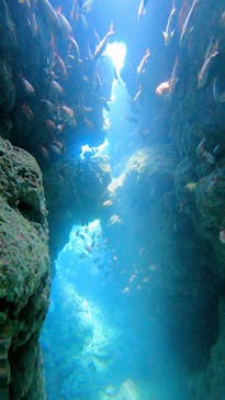 ドロップイン 沖縄に投稿された画像（2024/6/5）