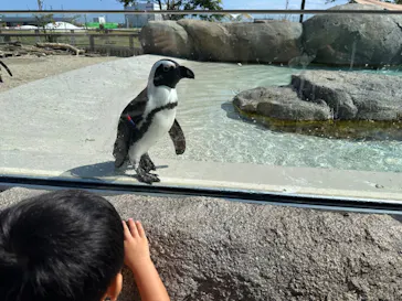 仙台うみの杜水族館に投稿された画像（2024/6/6）