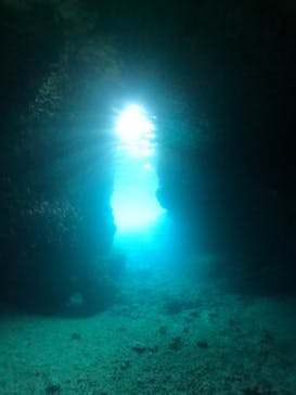 武藤潜水に投稿された画像（2024/6/6）