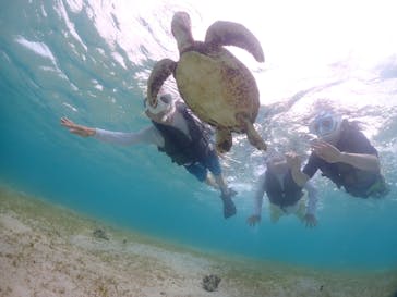 宮古島マリンショップSmileyに投稿された画像（2024/6/6）