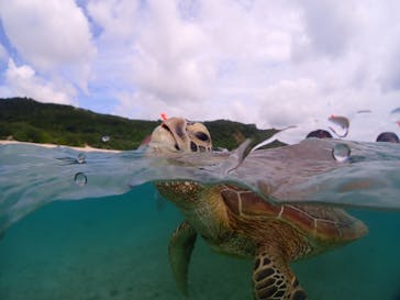 宮古島マリンショップSmileyに投稿された画像（2024/6/6）