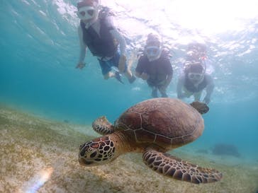 宮古島マリンショップSmileyに投稿された画像（2024/6/6）