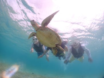 宮古島マリンショップSmileyに投稿された画像（2024/6/6）