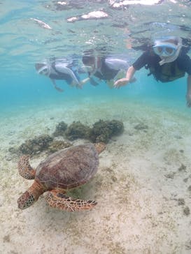 宮古島マリンショップSmileyに投稿された画像（2024/6/6）