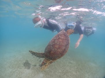宮古島マリンショップSmileyに投稿された画像（2024/6/6）