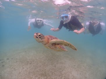 宮古島マリンショップSmileyに投稿された画像（2024/6/6）
