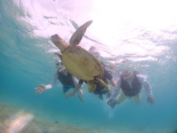 宮古島マリンショップSmileyに投稿された画像（2024/6/6）