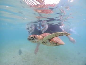 宮古島マリンショップSmileyに投稿された画像（2024/6/6）