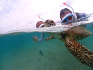 宮古島マリンショップSmileyに投稿された画像（2024/6/6）