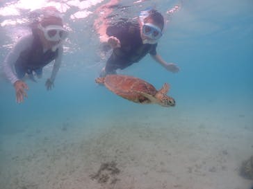 宮古島マリンショップSmileyに投稿された画像（2024/6/6）