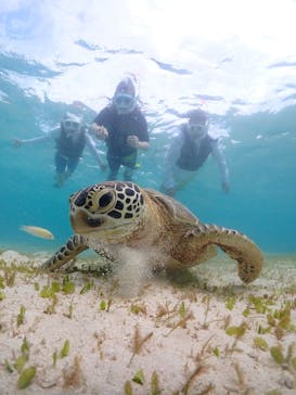 宮古島マリンショップSmileyに投稿された画像（2024/6/6）