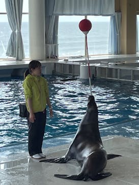 アクアワールド茨城県大洗水族館に投稿された画像（2024/6/6）