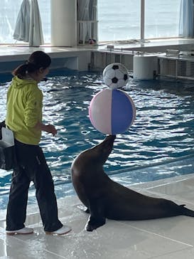 アクアワールド茨城県大洗水族館に投稿された画像（2024/6/6）
