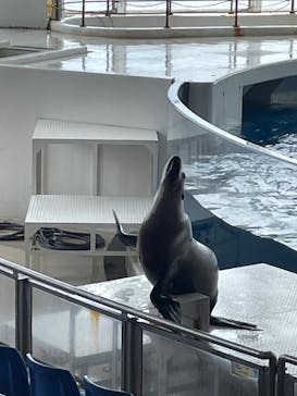アクアワールド茨城県大洗水族館に投稿された画像（2024/6/6）