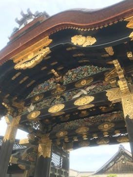 元離宮二条城に投稿された画像（2024/6/6）