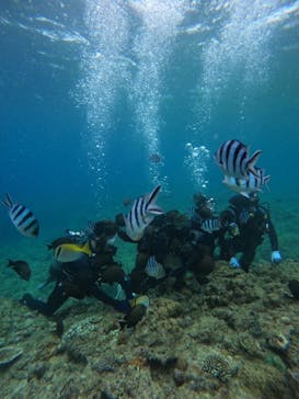 武藤潜水に投稿された画像（2024/6/6）