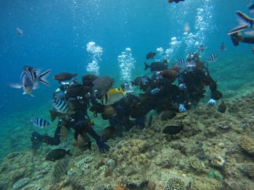 武藤潜水に投稿された画像（2024/6/6）