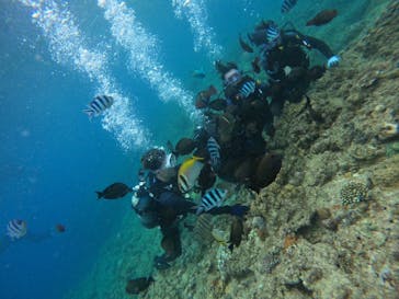 武藤潜水に投稿された画像（2024/6/6）