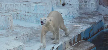 天王寺動物園に投稿された画像（2024/6/6）