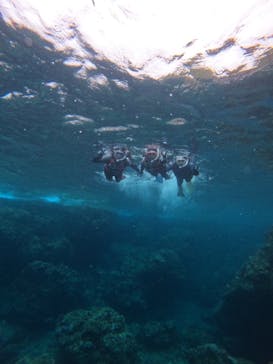 武藤潜水に投稿された画像（2024/6/6）