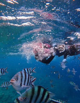 武藤潜水に投稿された画像（2024/6/6）