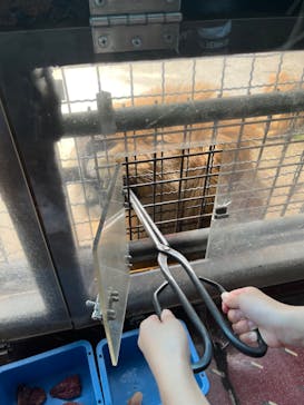 群馬サファリパークに投稿された画像（2024/6/6）