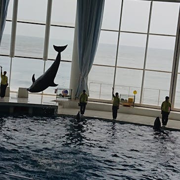 アクアワールド茨城県大洗水族館に投稿された画像（2024/6/6）