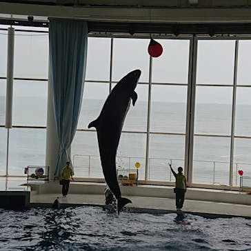 アクアワールド茨城県大洗水族館に投稿された画像（2024/6/6）