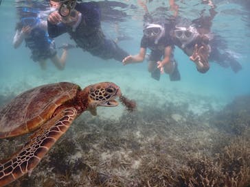 宮古島マリンショップSmileyに投稿された画像（2024/6/6）