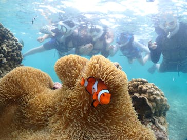 宮古島マリンショップSmileyに投稿された画像（2024/6/6）