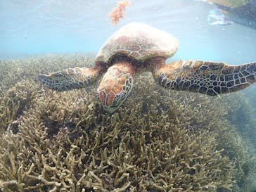 宮古島マリンショップSmileyに投稿された画像（2024/6/6）