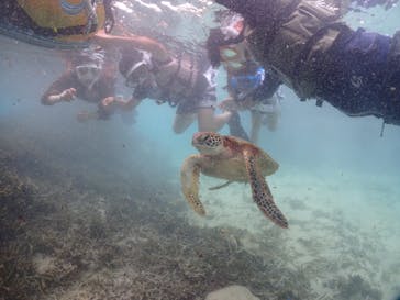 宮古島マリンショップSmileyに投稿された画像（2024/6/6）