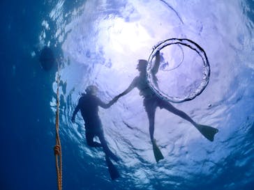 ちゃこたびに投稿された画像（2024/6/6）