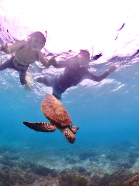 ちゃこたびに投稿された画像（2024/6/6）