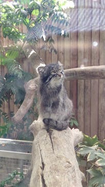 神戸どうぶつ王国に投稿された画像（2024/6/6）