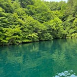 リブパイオニアに投稿された画像（2024/6/6）