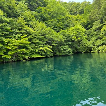 リブパイオニアに投稿された画像（2024/6/6）