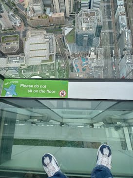 ハルカス300(展望台)に投稿された画像（2024/6/6）