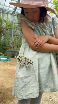 西表島 ADVENTURE PiPi（アドベンチャーピピ）に投稿された画像（2024/6/6）