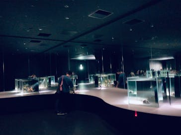 NIFREL（ニフレル）に投稿された画像（2024/6/6）