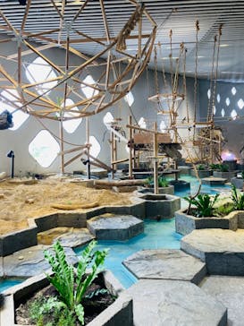 NIFREL（ニフレル）に投稿された画像（2024/6/6）